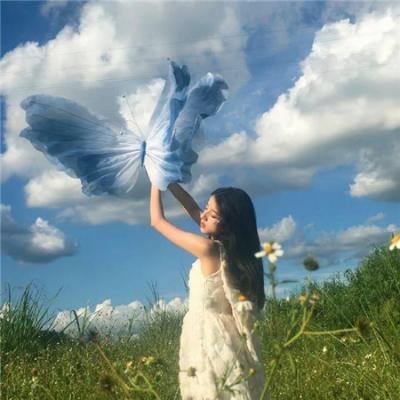 大虎鲨 海报